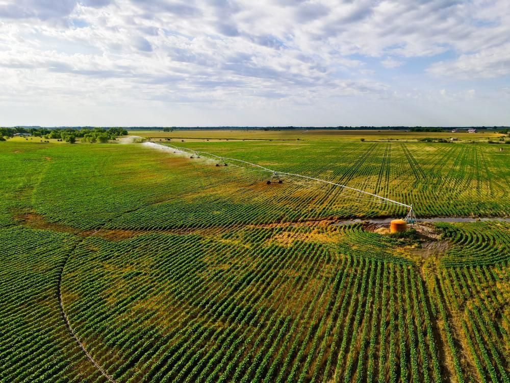 127 acres in Reno County, Kansas