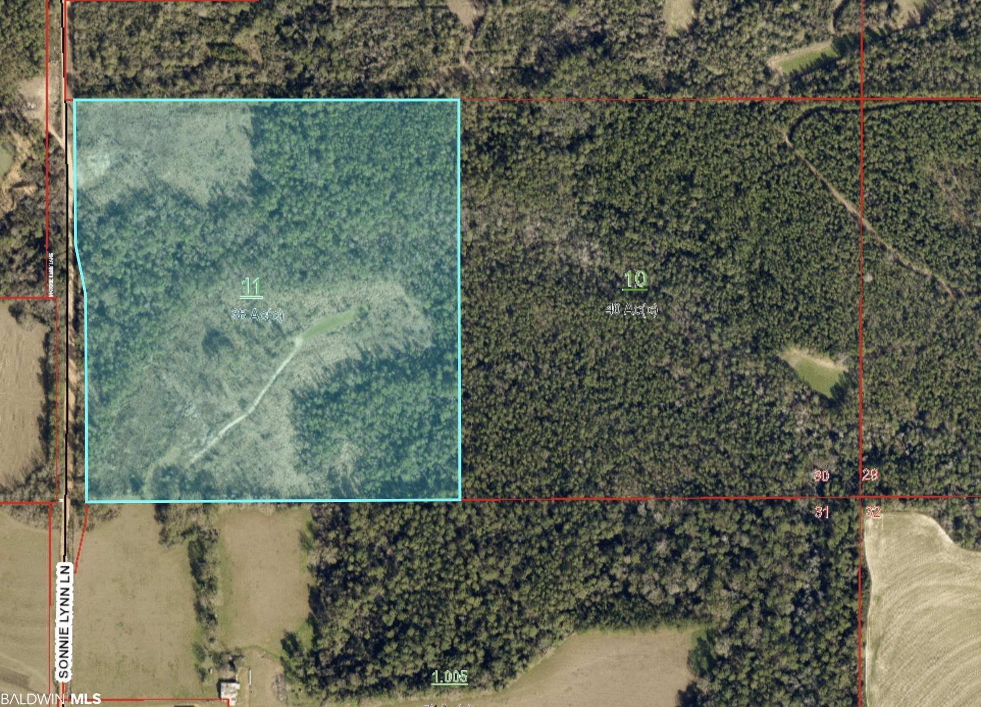 38 acres in Baldwin County, Alabama