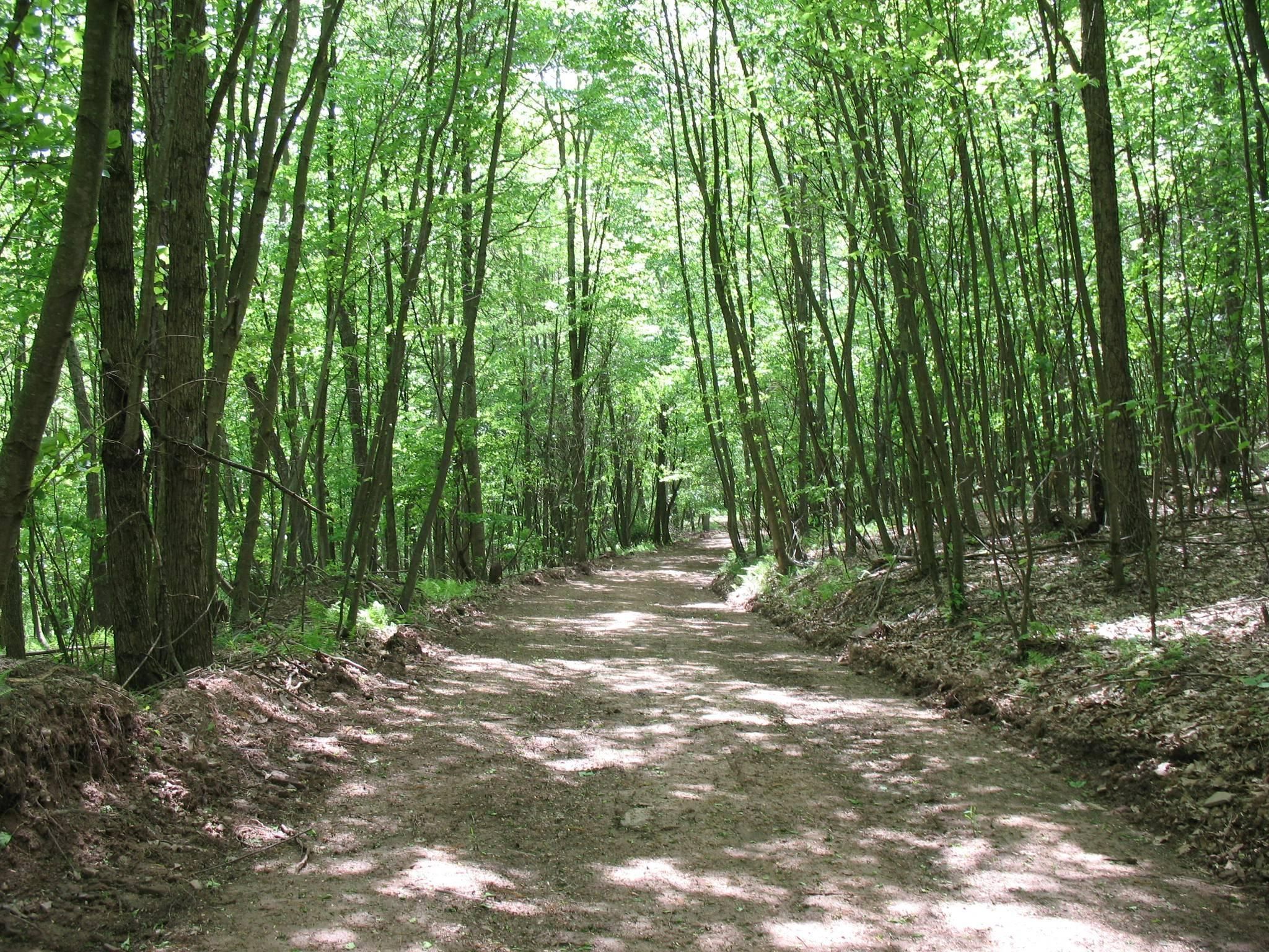 279.46 acres in Clinton County, Pennsylvania