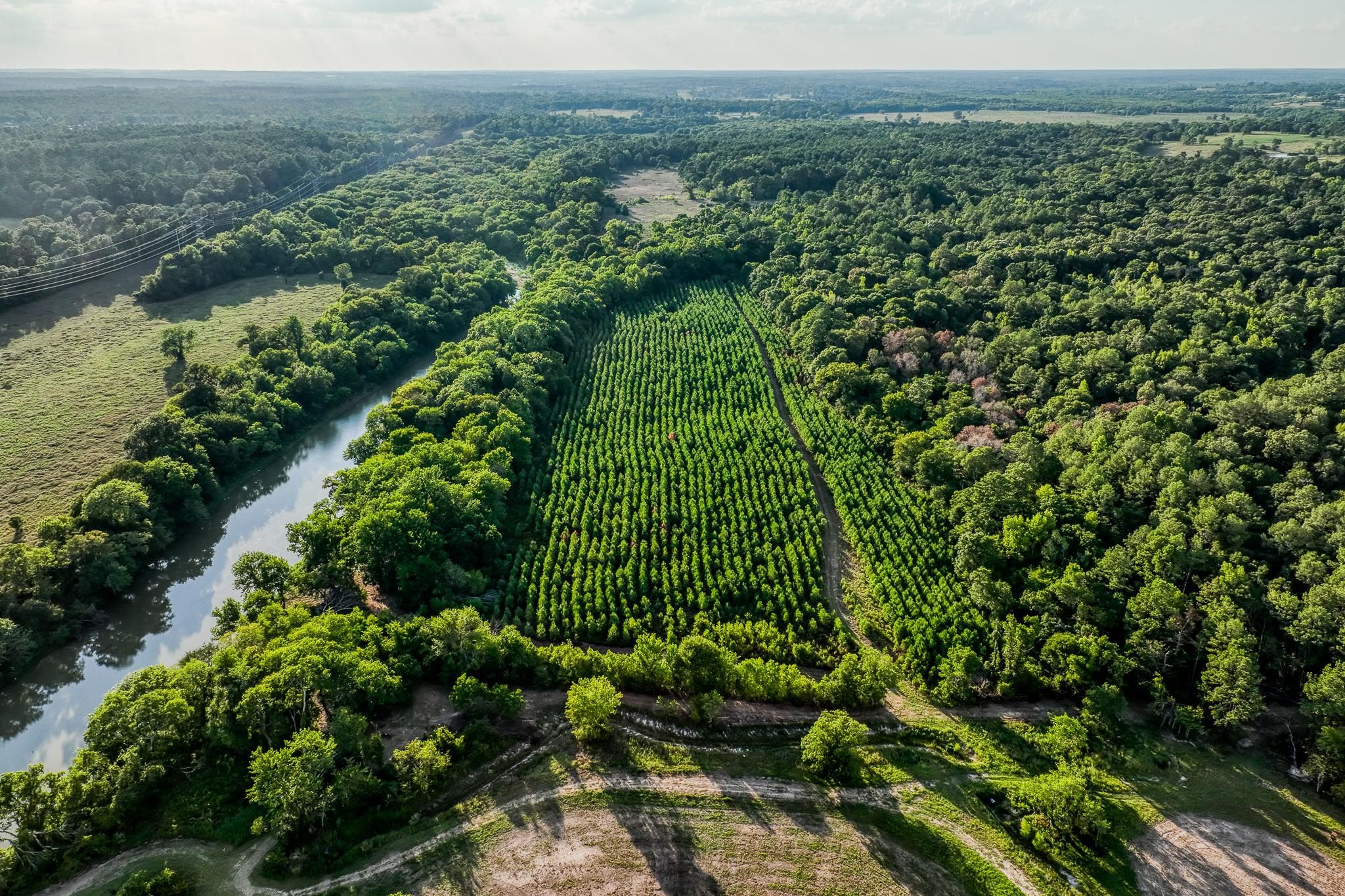 100 acres in Montgomery County, Texas