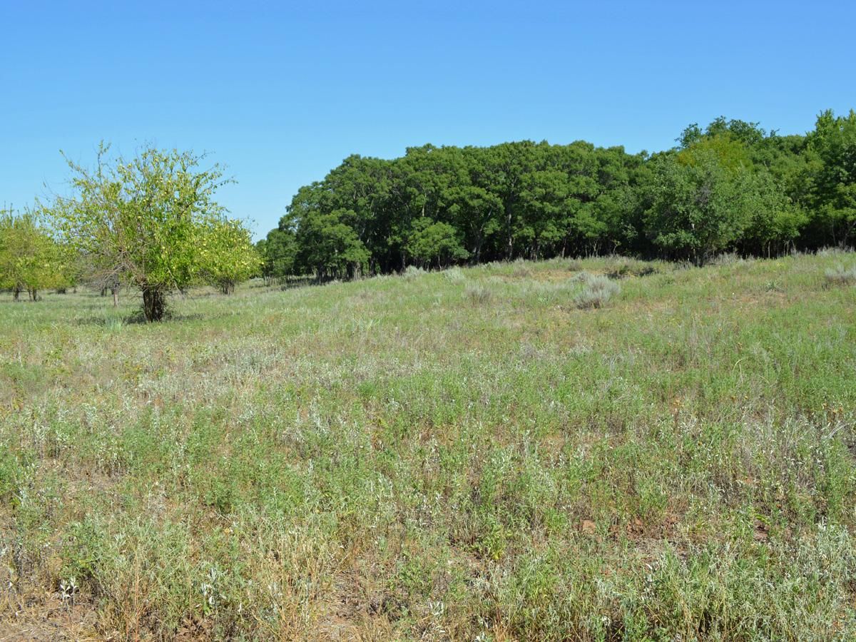 160 acres in Tillman County, Oklahoma