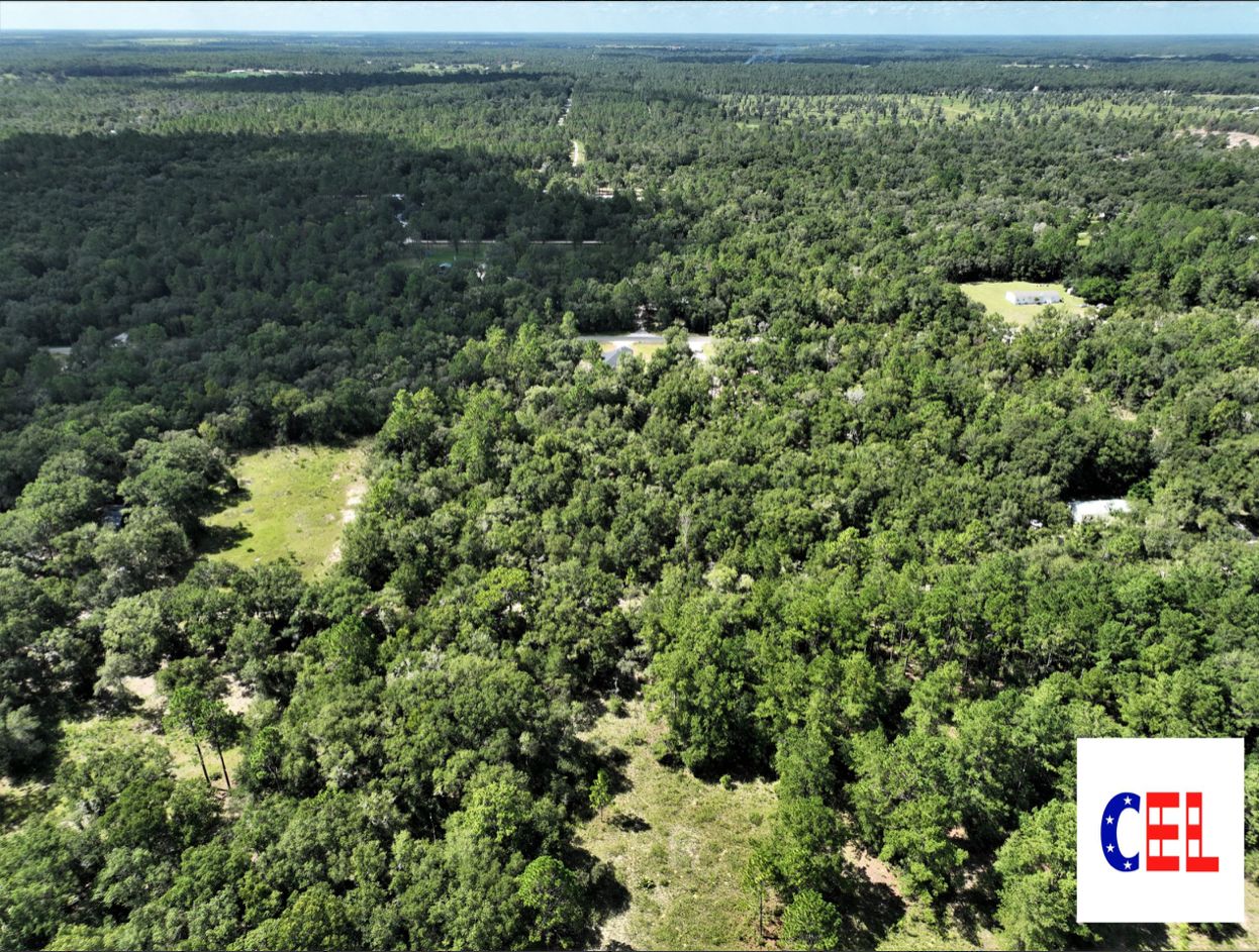 1.25 acres in Levy County, Florida