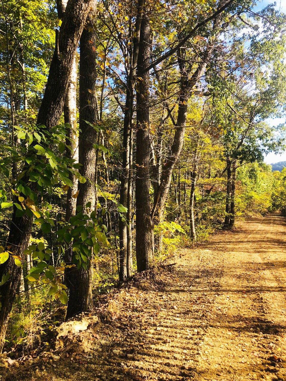 23.83 acres in Estill County, Kentucky