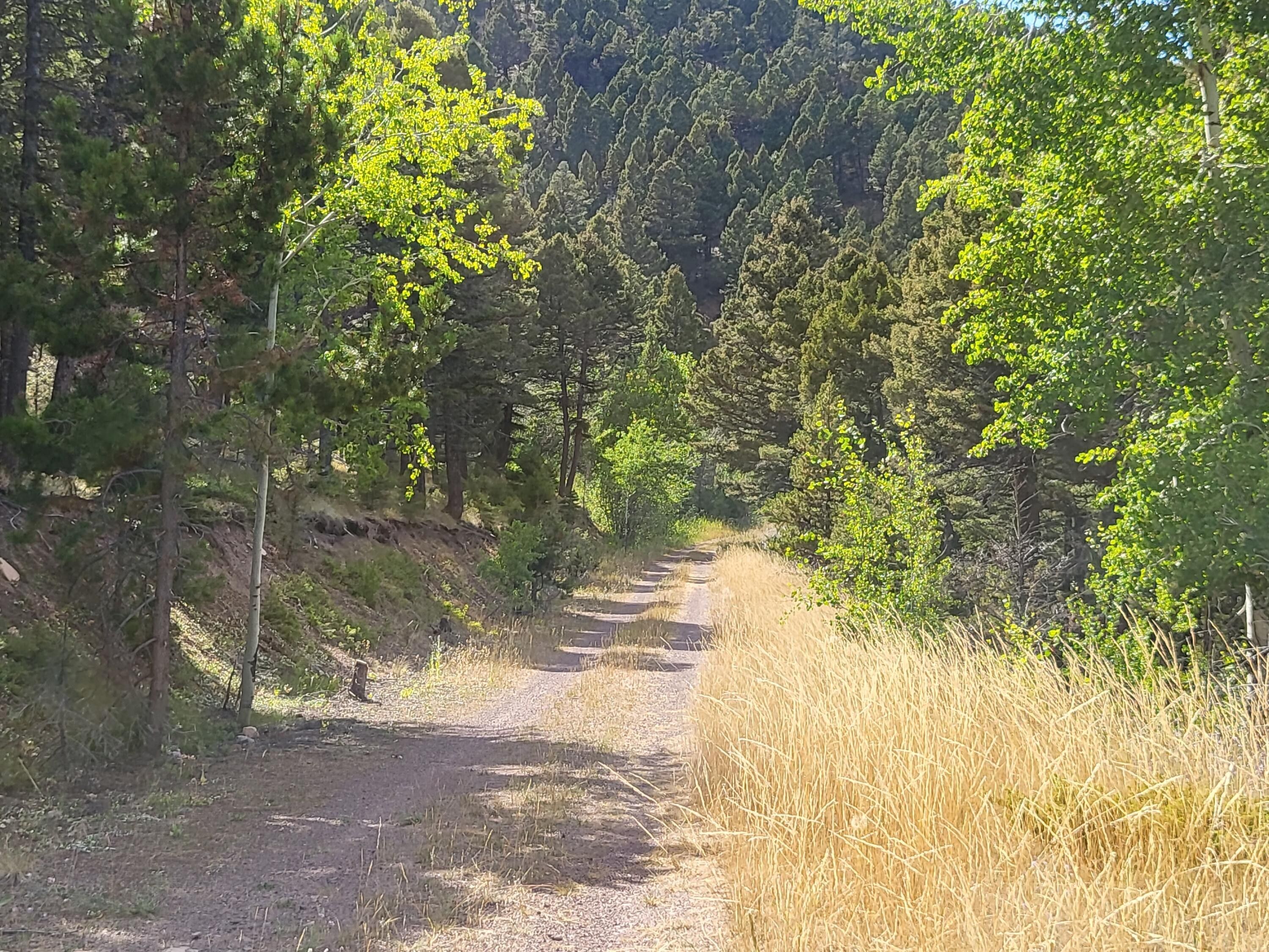 40 acres in Lewis and Clark County, Montana