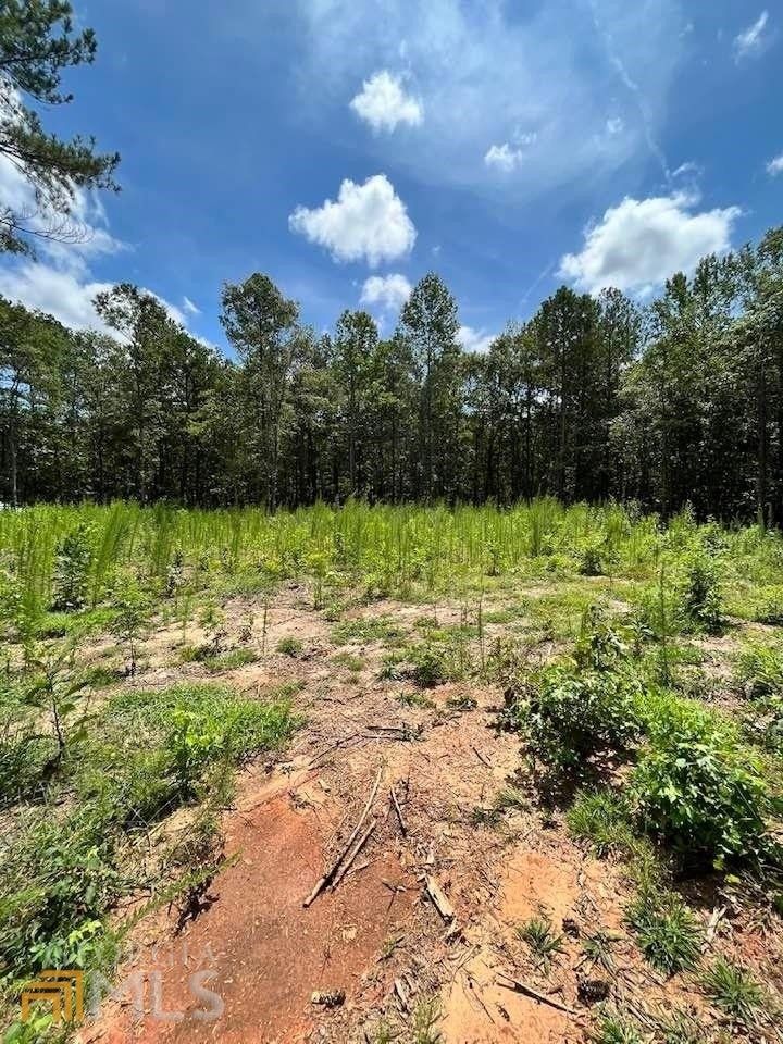 5.3 acres in Upson County,
