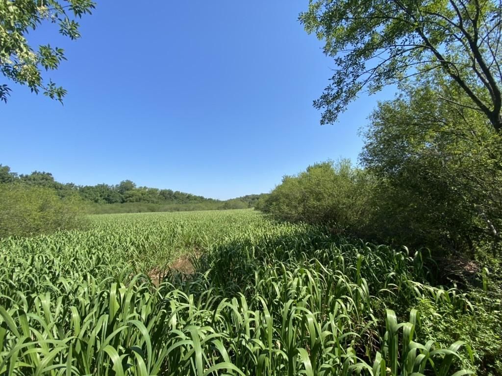 150 acres in Creek County, Oklahoma