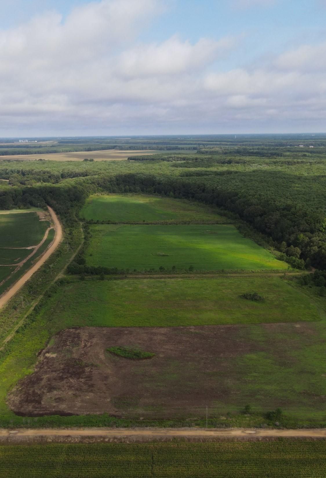 206 acres in Carroll County, Mississippi