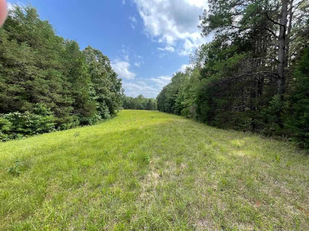 120 acres in Chester County, Tennessee