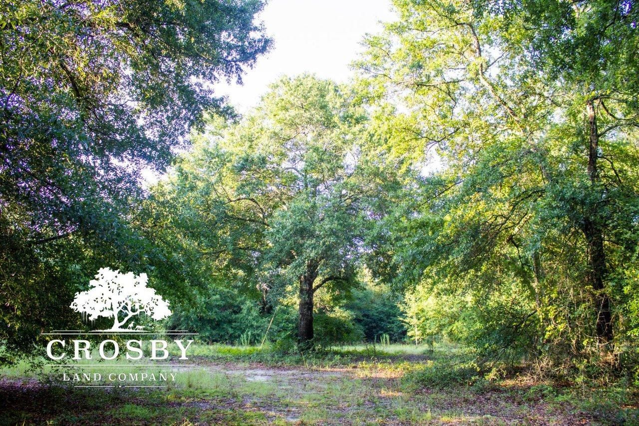 11.45 acres in Barnwell County, South Carolina