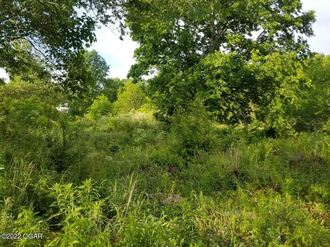 98 acres in McDonald County, Missouri