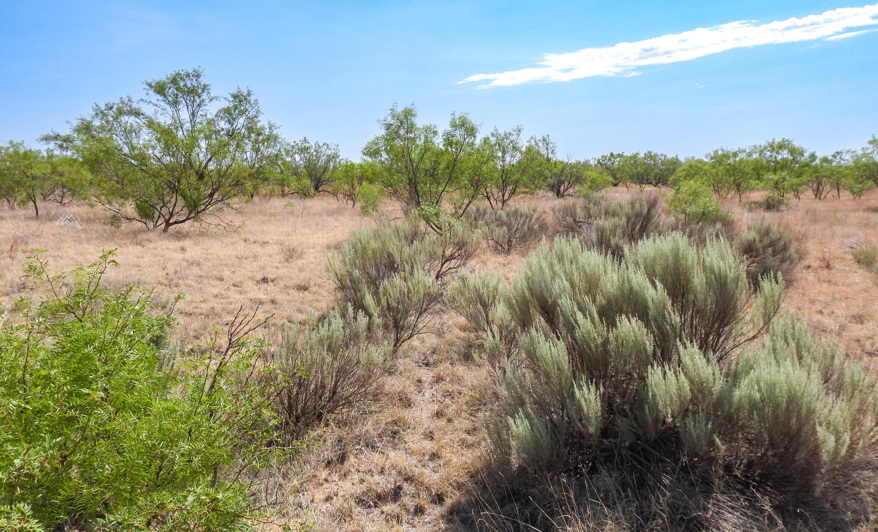 160 acres in Garza County, Texas