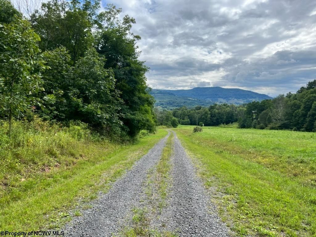 2 acres in Tucker County, West Virginia