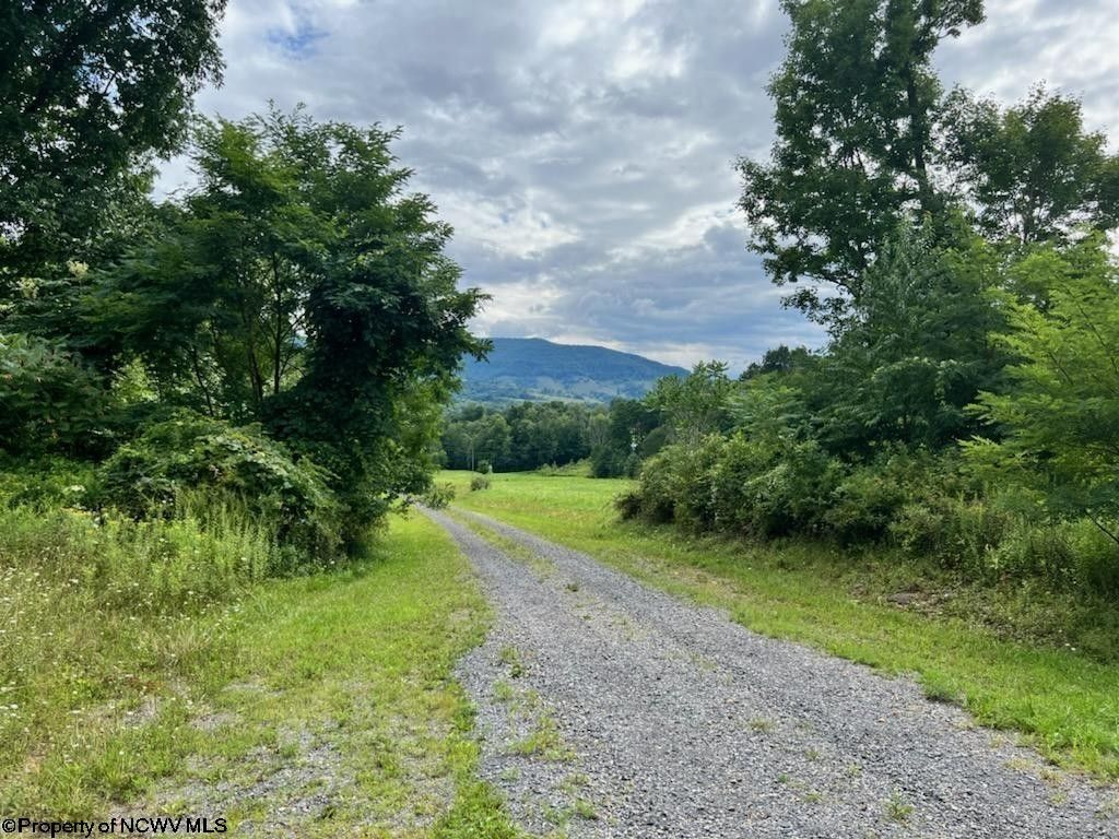 2 acres in Tucker County, West Virginia