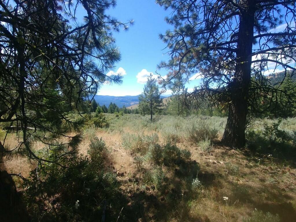 19.93 acres in Okanogan County, Washington