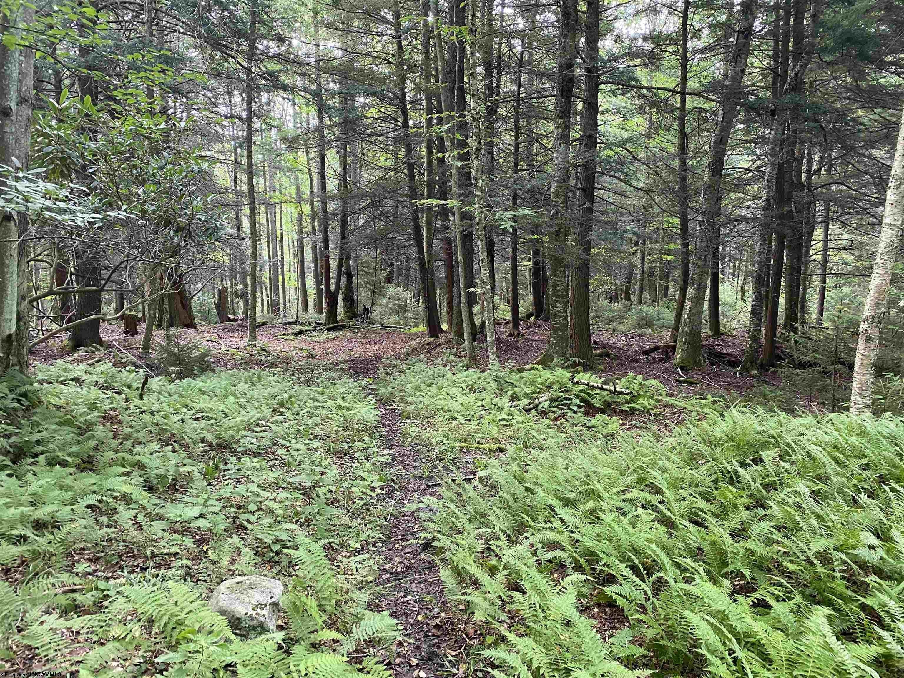 2.09 acres in Tucker County, West Virginia