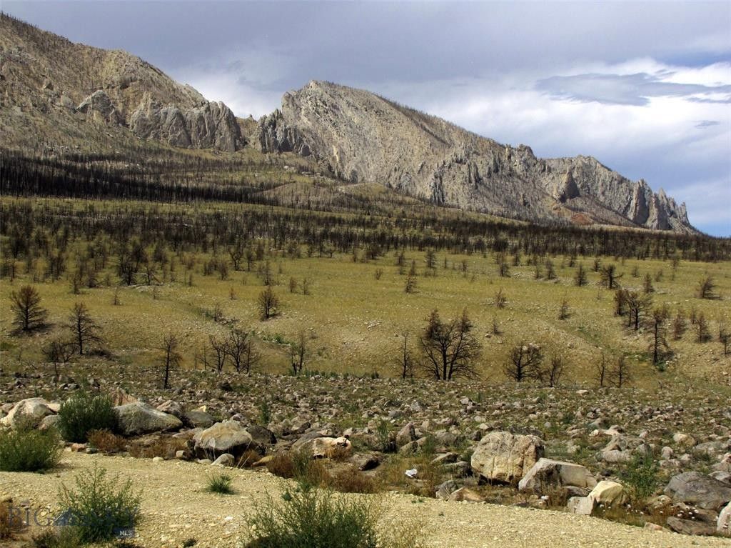 20.1 acres in Carbon County, Montana