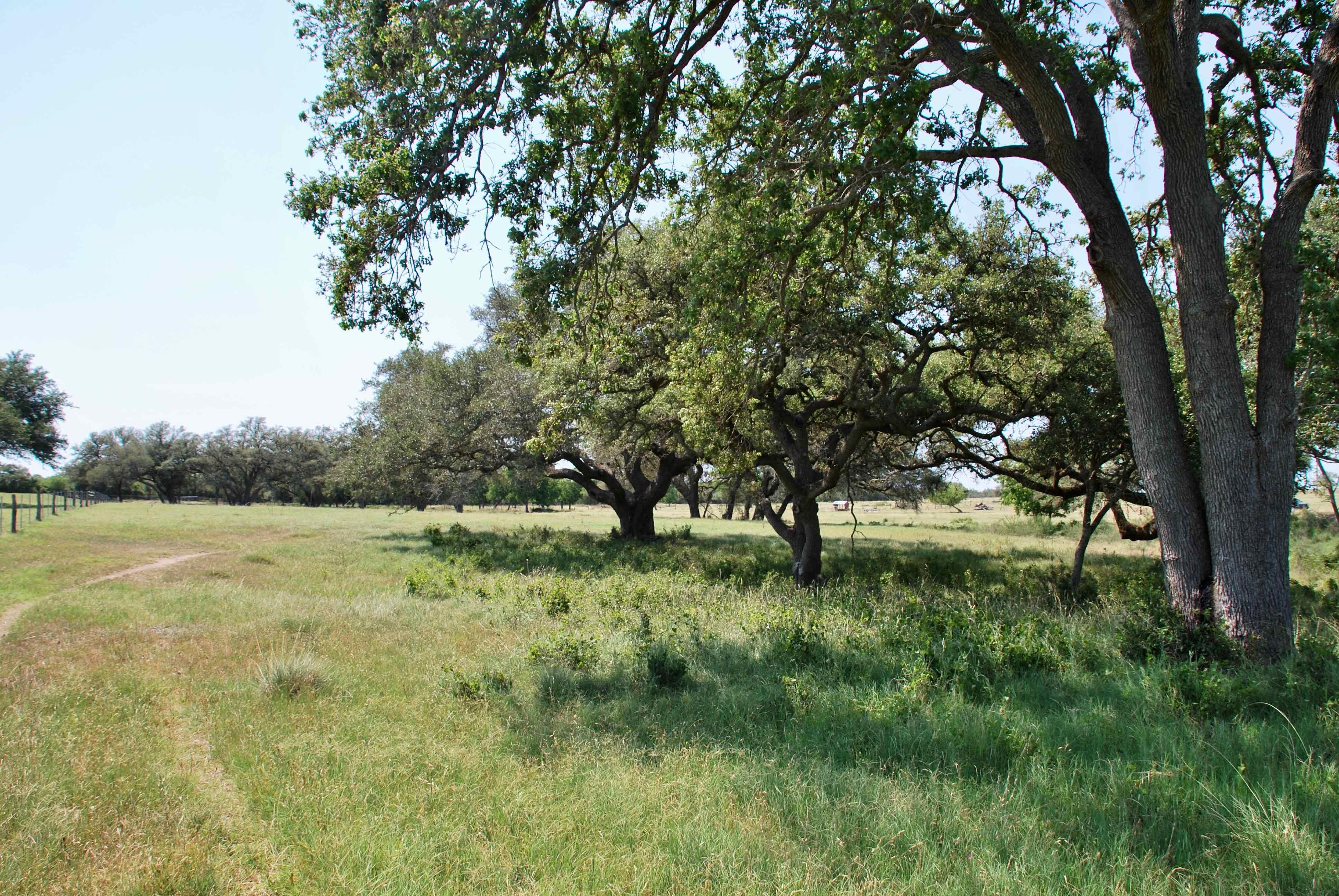 721 County Road 380, Hallettsville, TX 77964 MLS 15937985