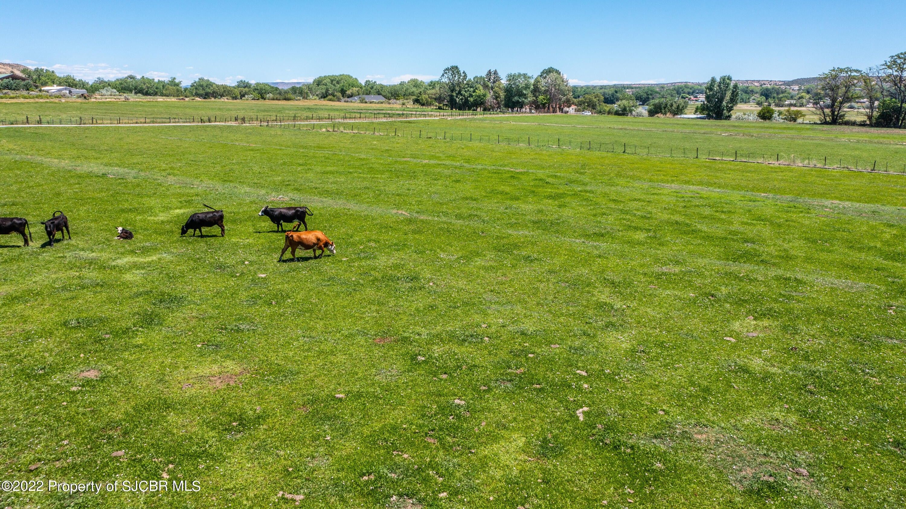12.3 acres in San Juan County, New Mexico