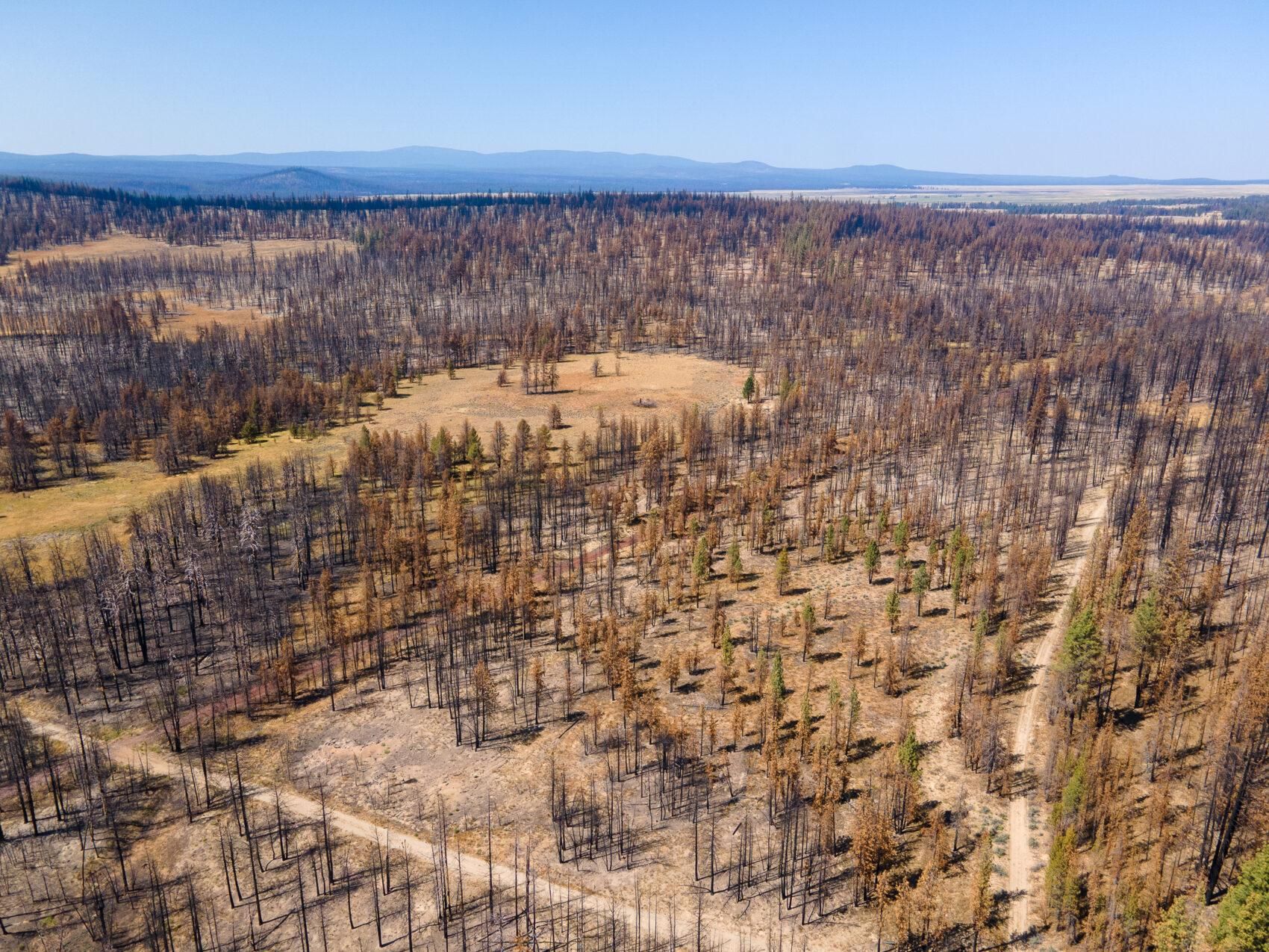 9.5 acres in Klamath County, Oregon