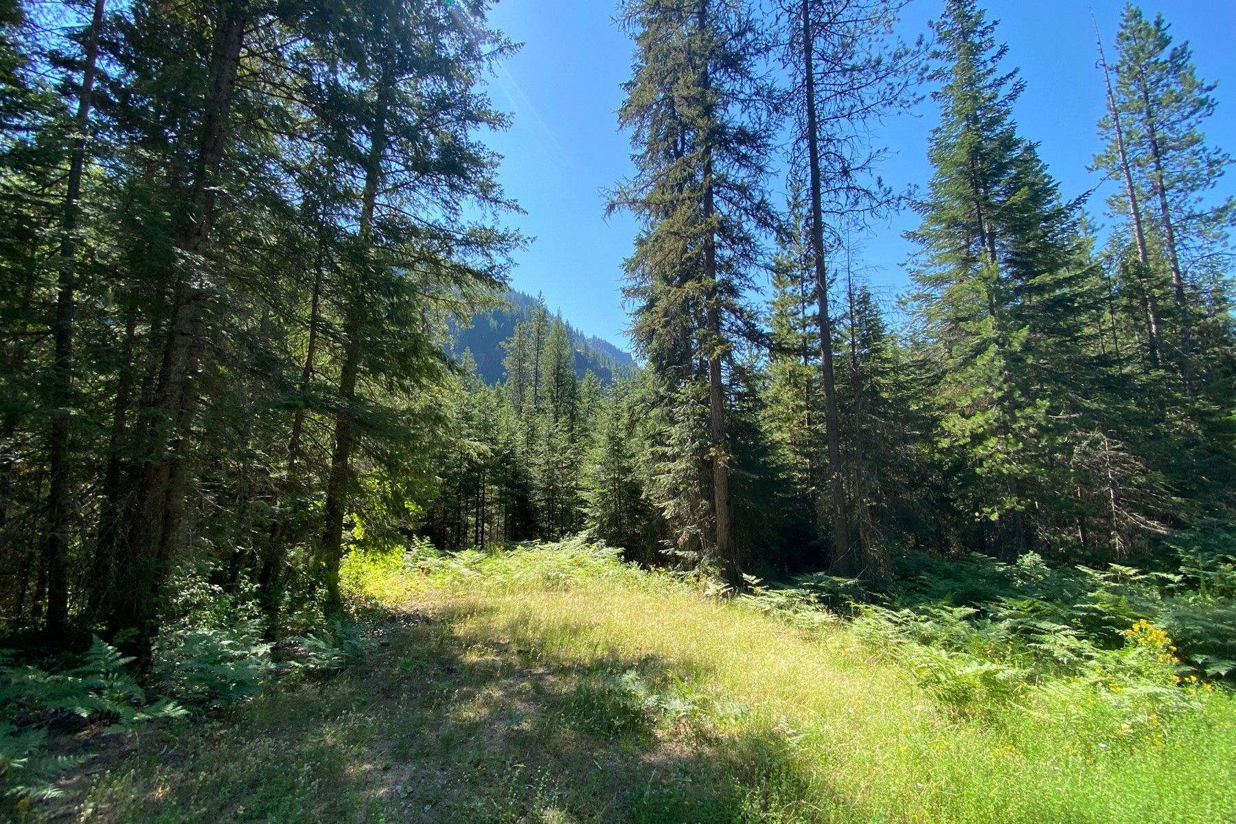 5 acres in Bonner County, Idaho