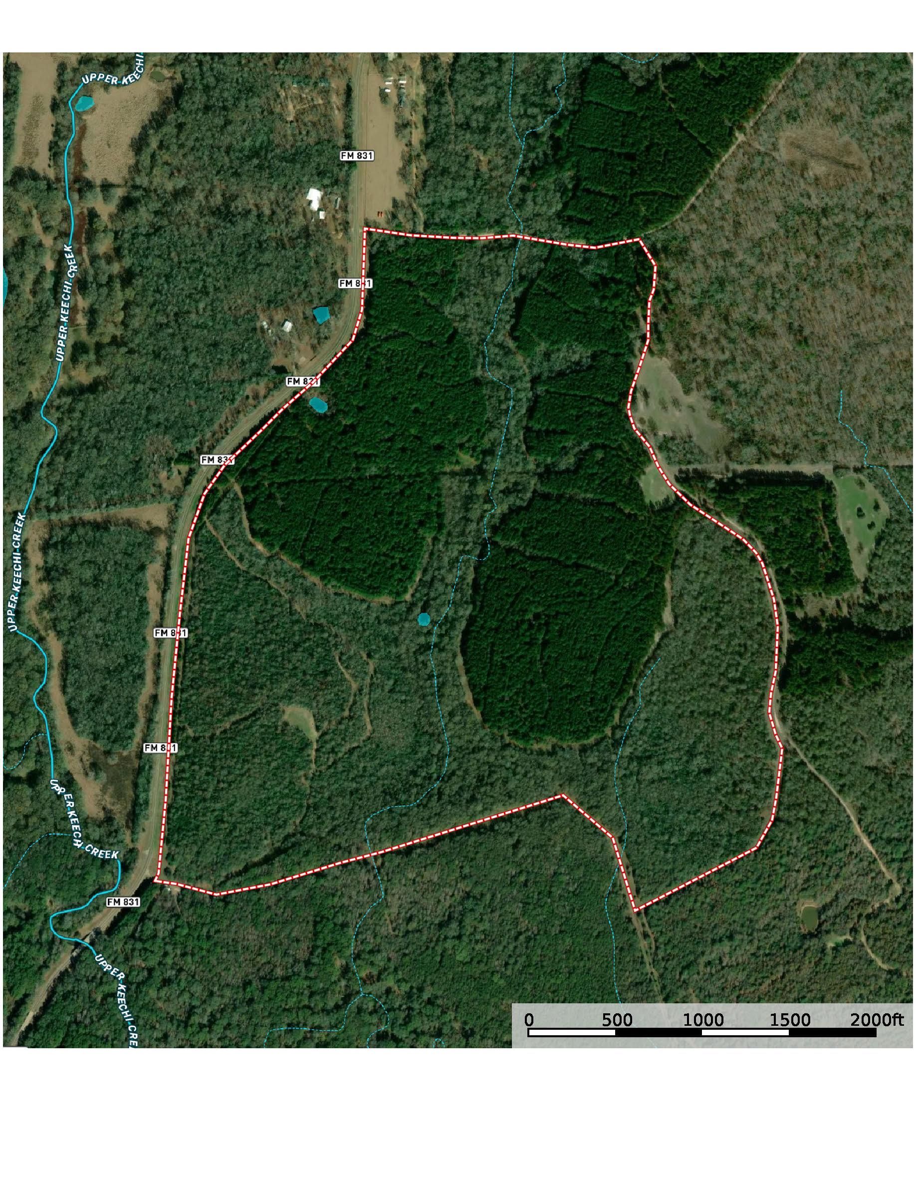 225 acres in Leon County, Texas