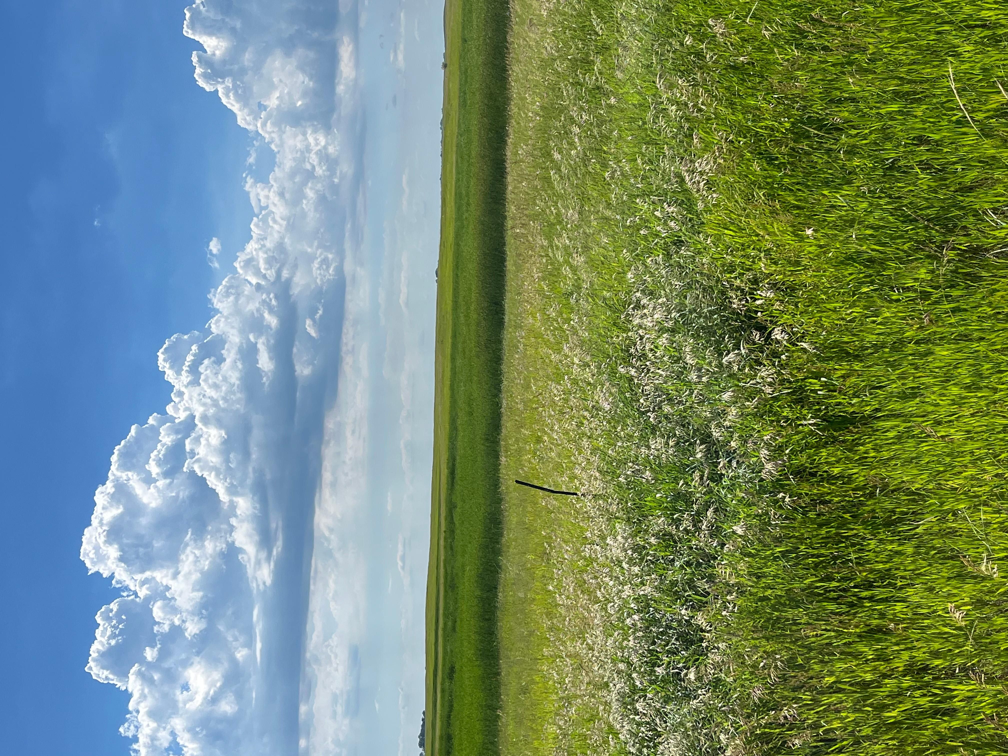 160 acres in Ramsey County, North Dakota