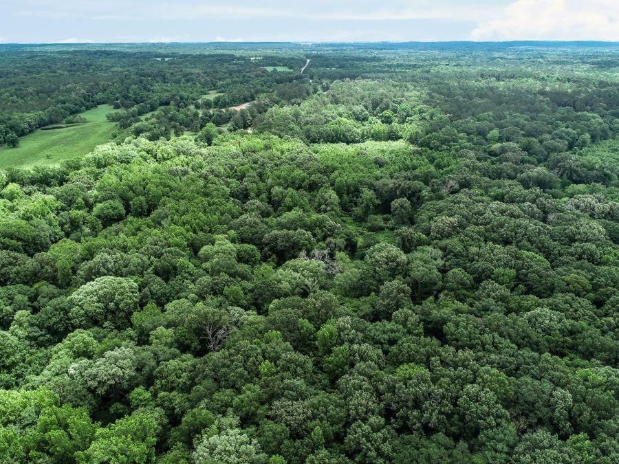 28.83 acres in Wood County, Texas