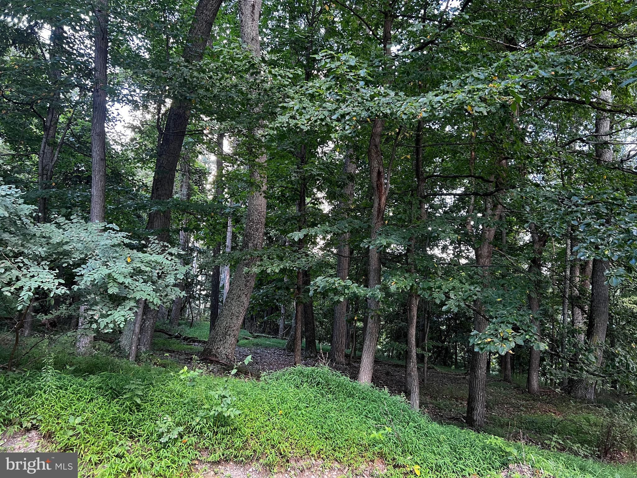 40 acres in Hardy County, West Virginia