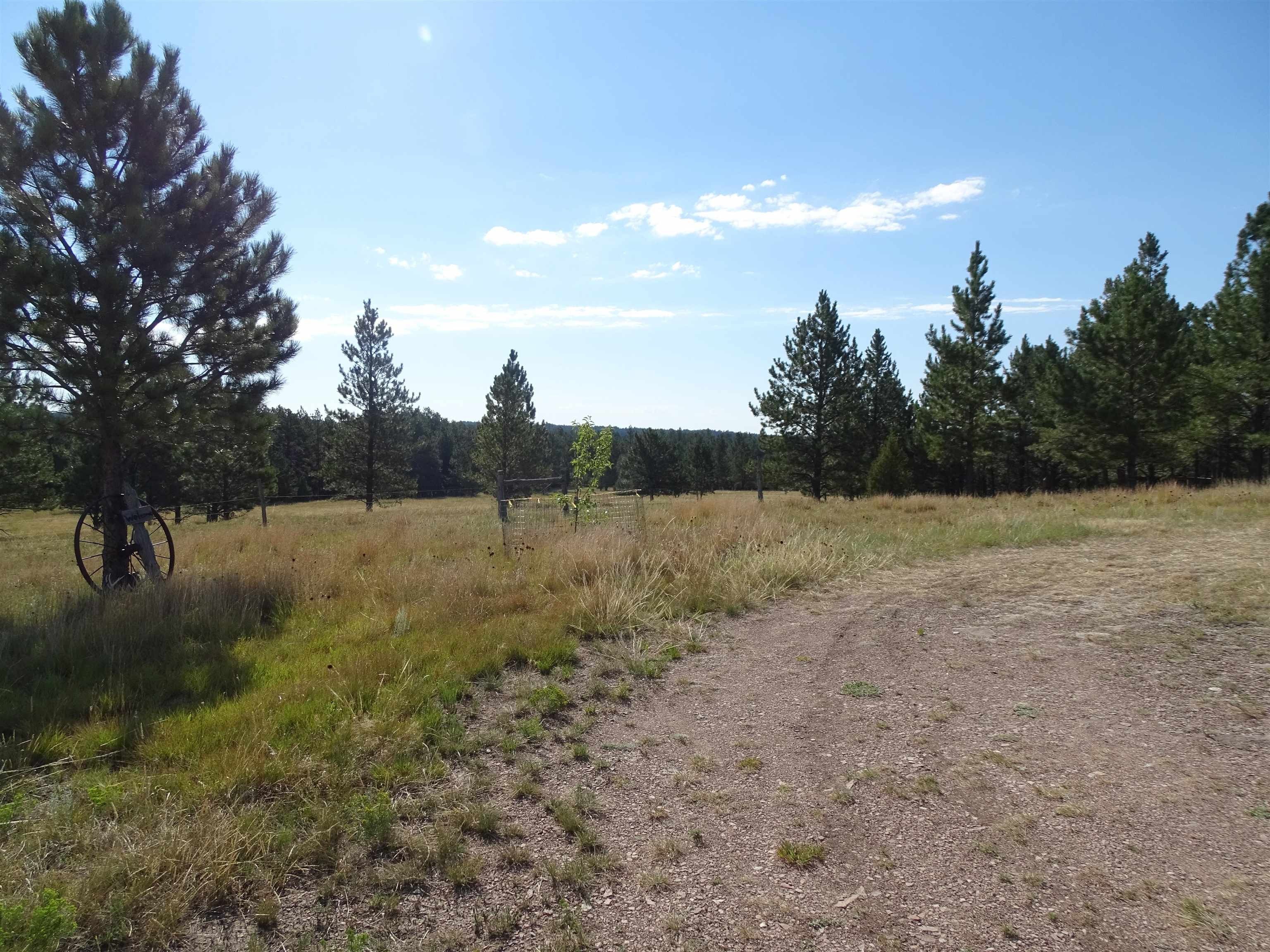 5 acres in Custer County, South Dakota