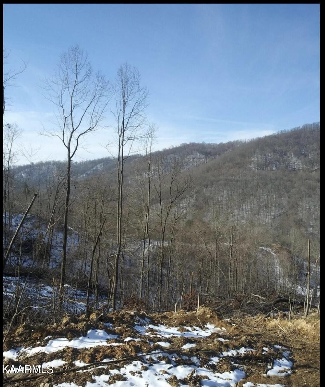 120 acres in Scott County, Tennessee