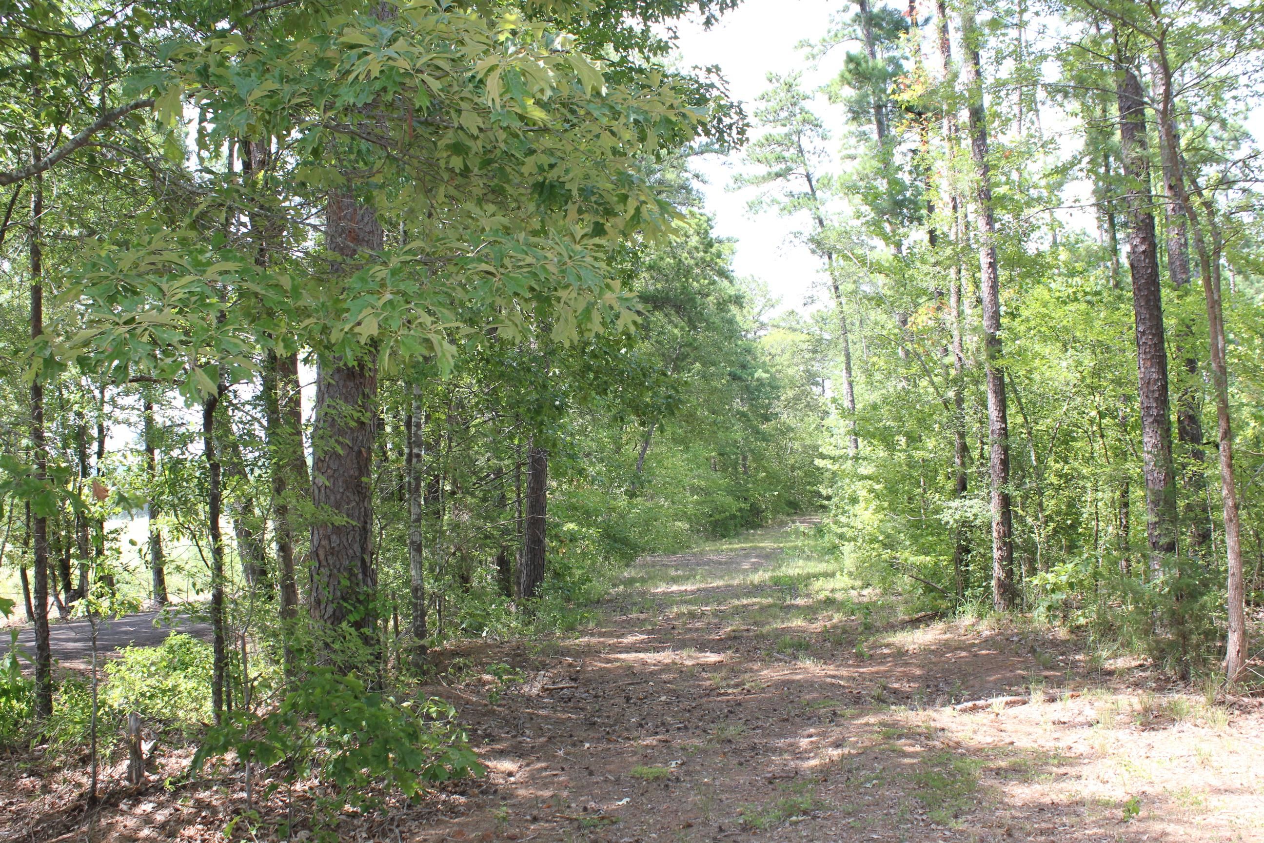 12 acres in Rusk County, Texas