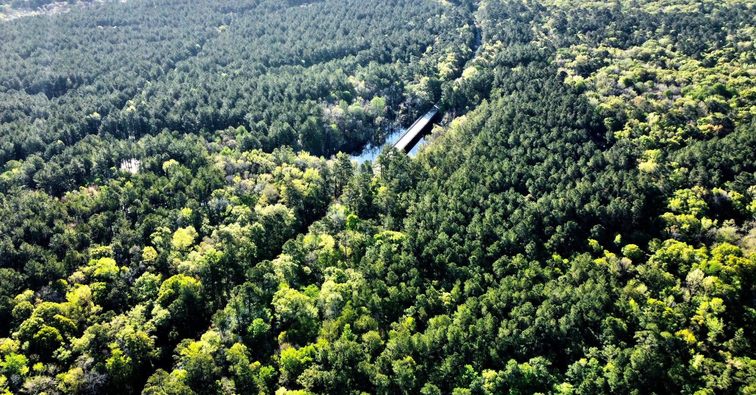 16 acres in Colleton County, South Carolina