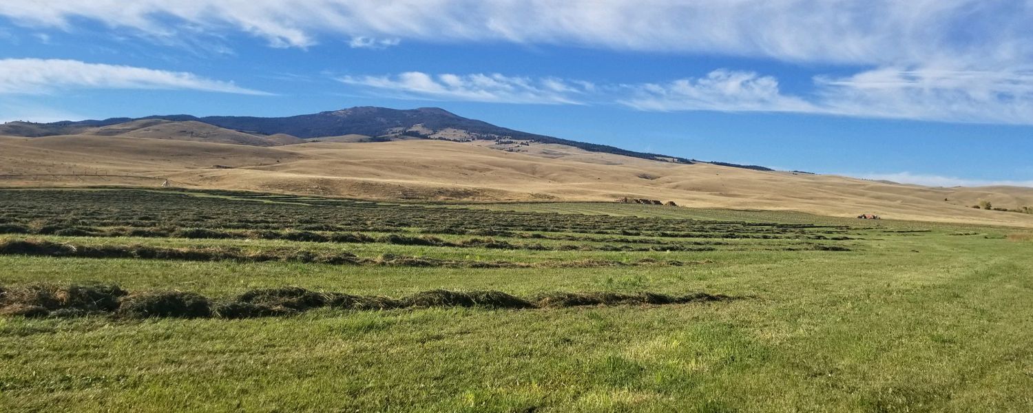 295 acres in Silver Bow County, Montana