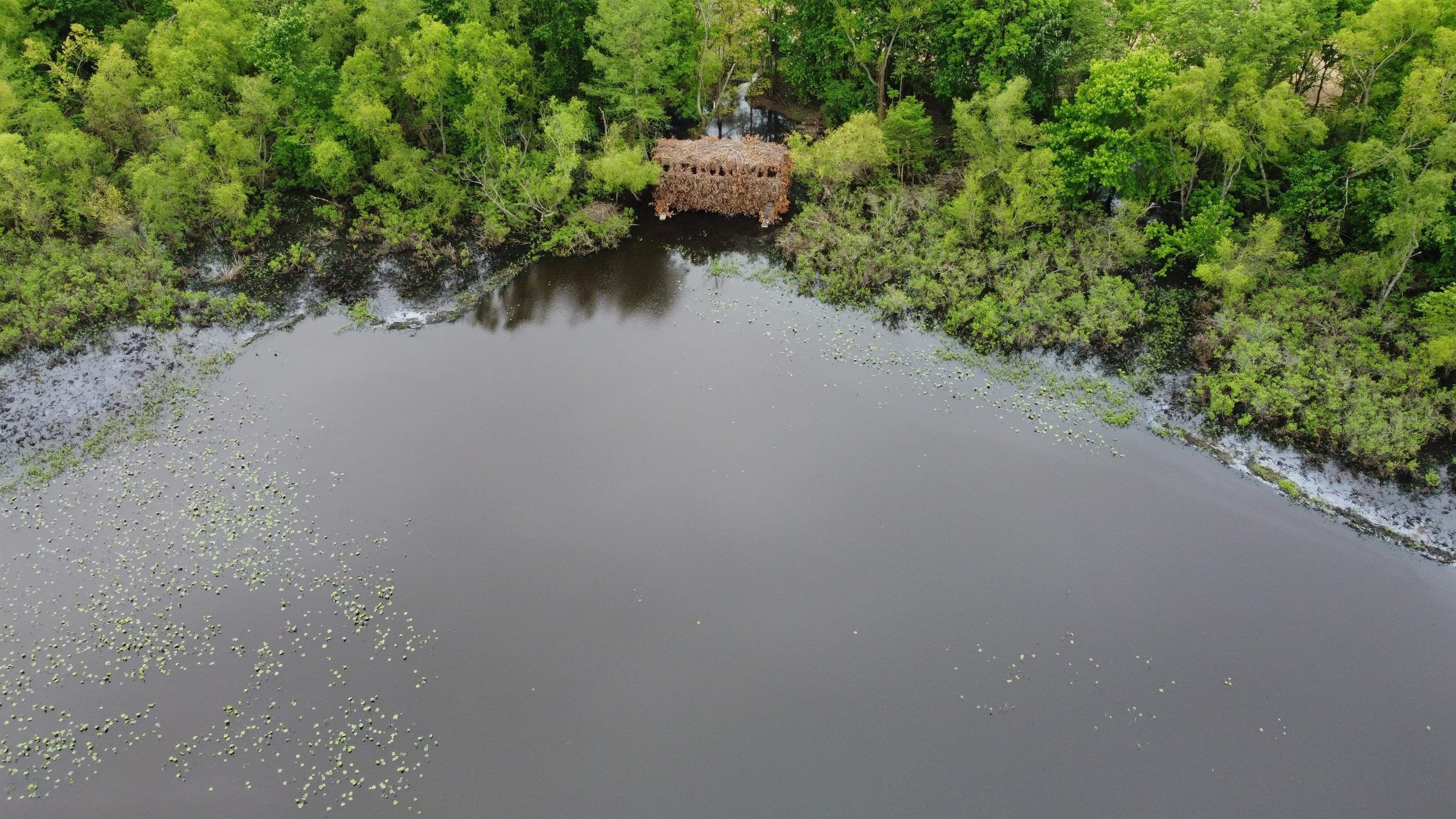 28 acres in Gibson County, Tennessee