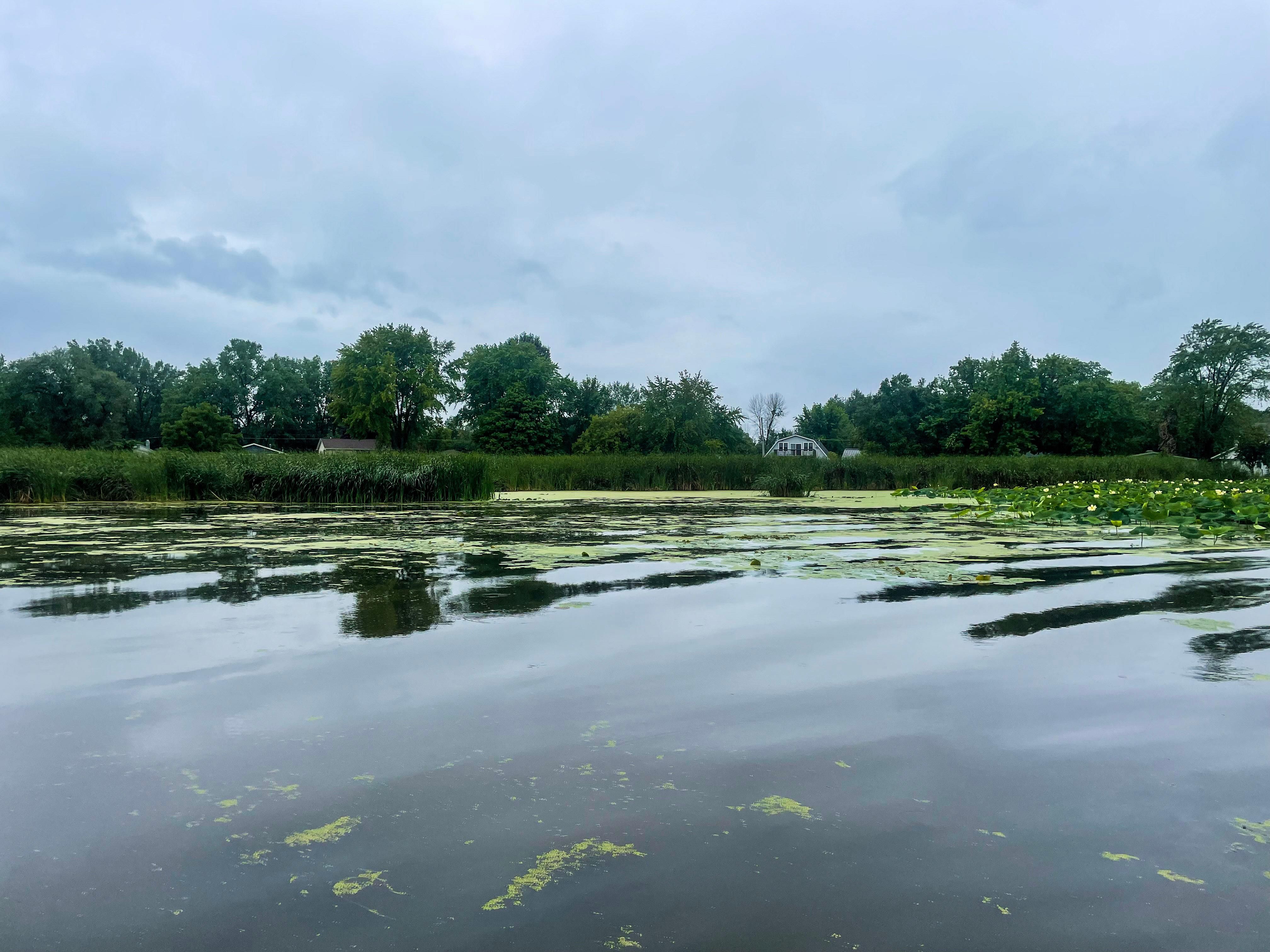 Springbrook Rd, Omro, WI 54963