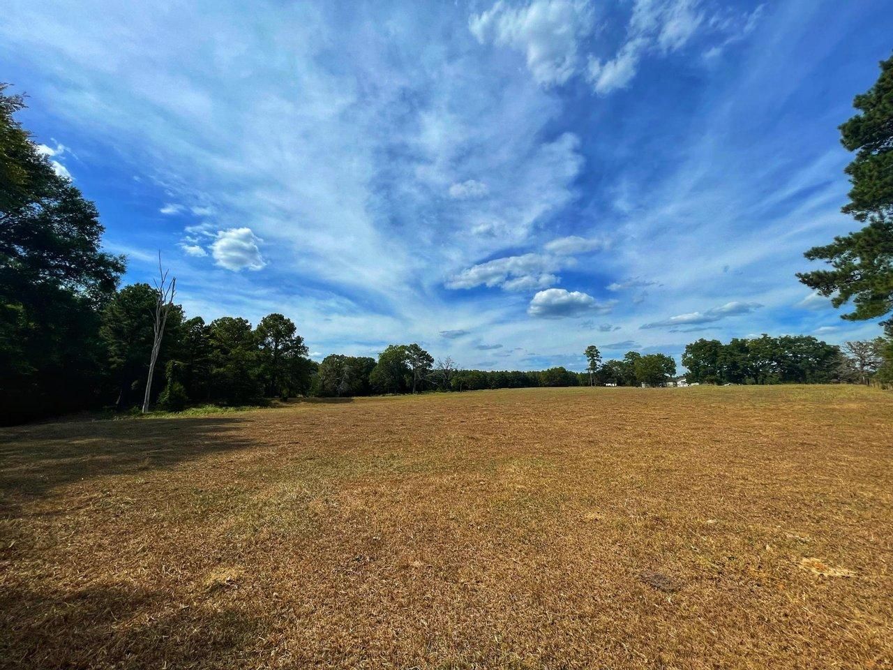 20.5 acres in Houston County, Texas