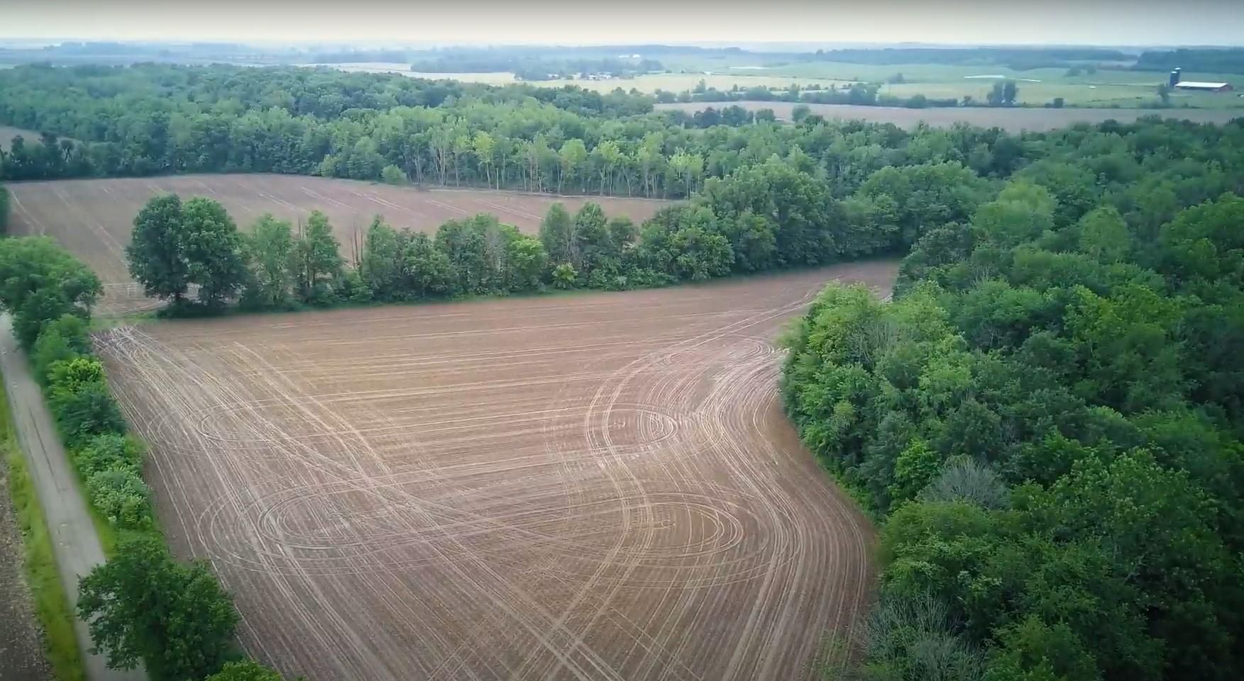 575 acres in Greene County, Indiana
