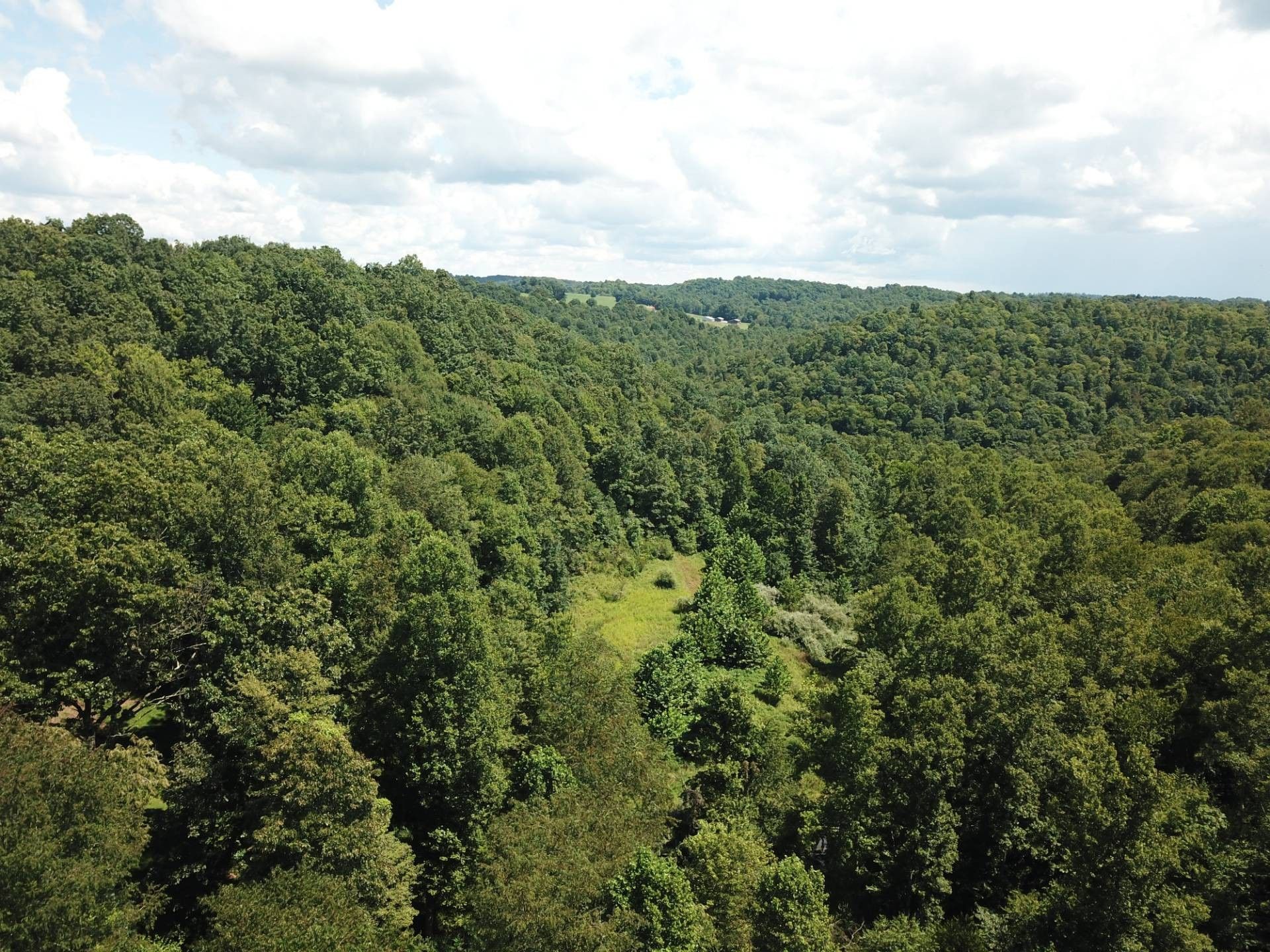 130 acres in Taylor County, West Virginia