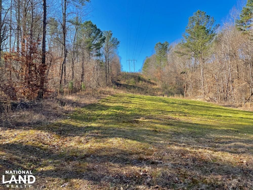 120 acres in Walker County, Alabama