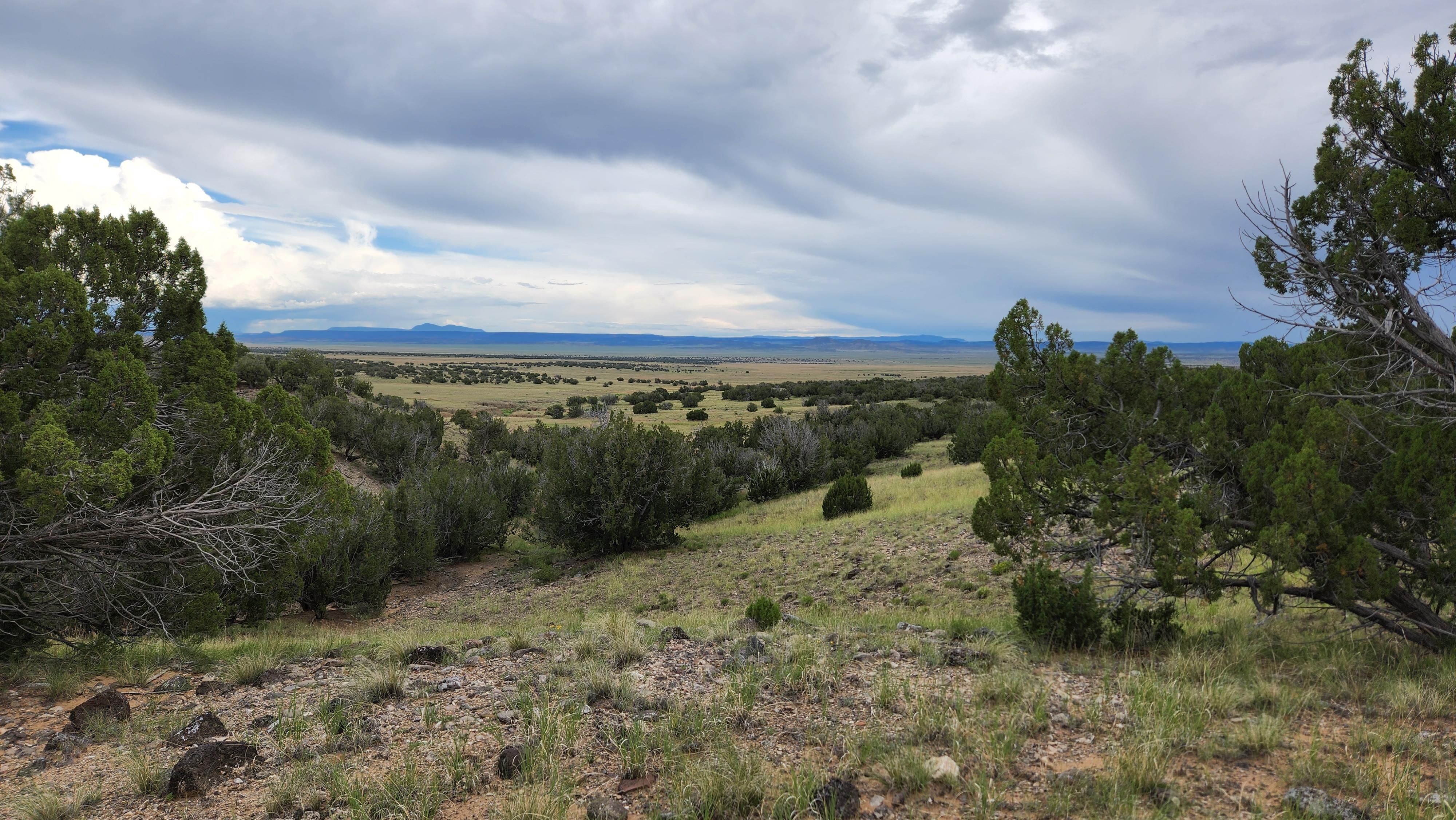 66 acres in Catron County, New Mexico