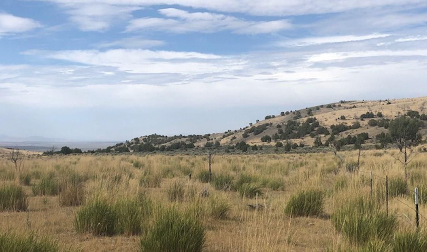 120 acres in Elko County, Nevada