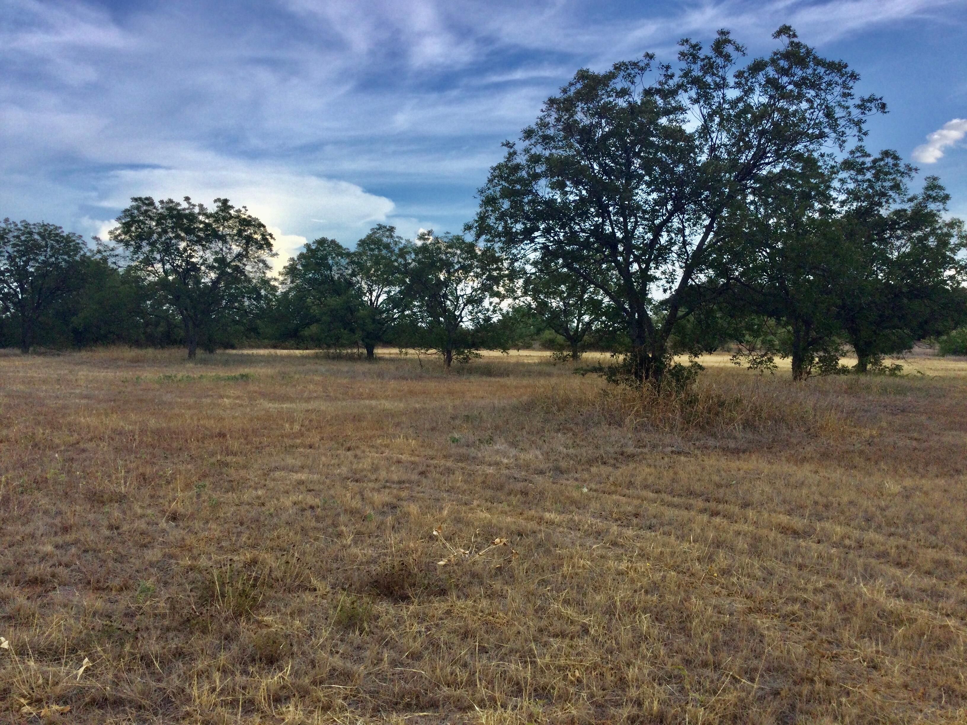 5.59 acres in Comanche County, Texas