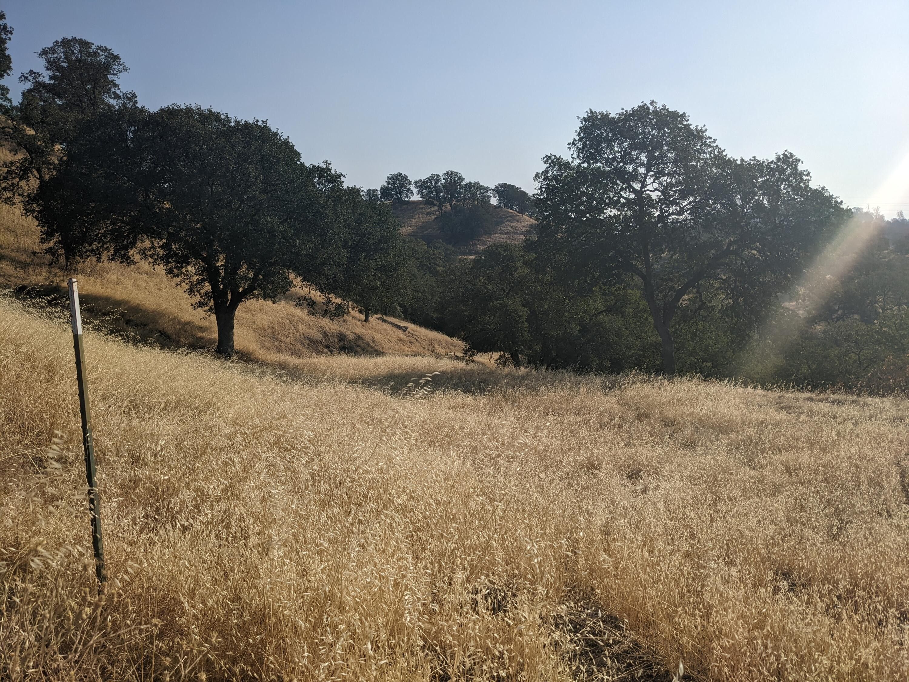 7 acres in Tehama County, California