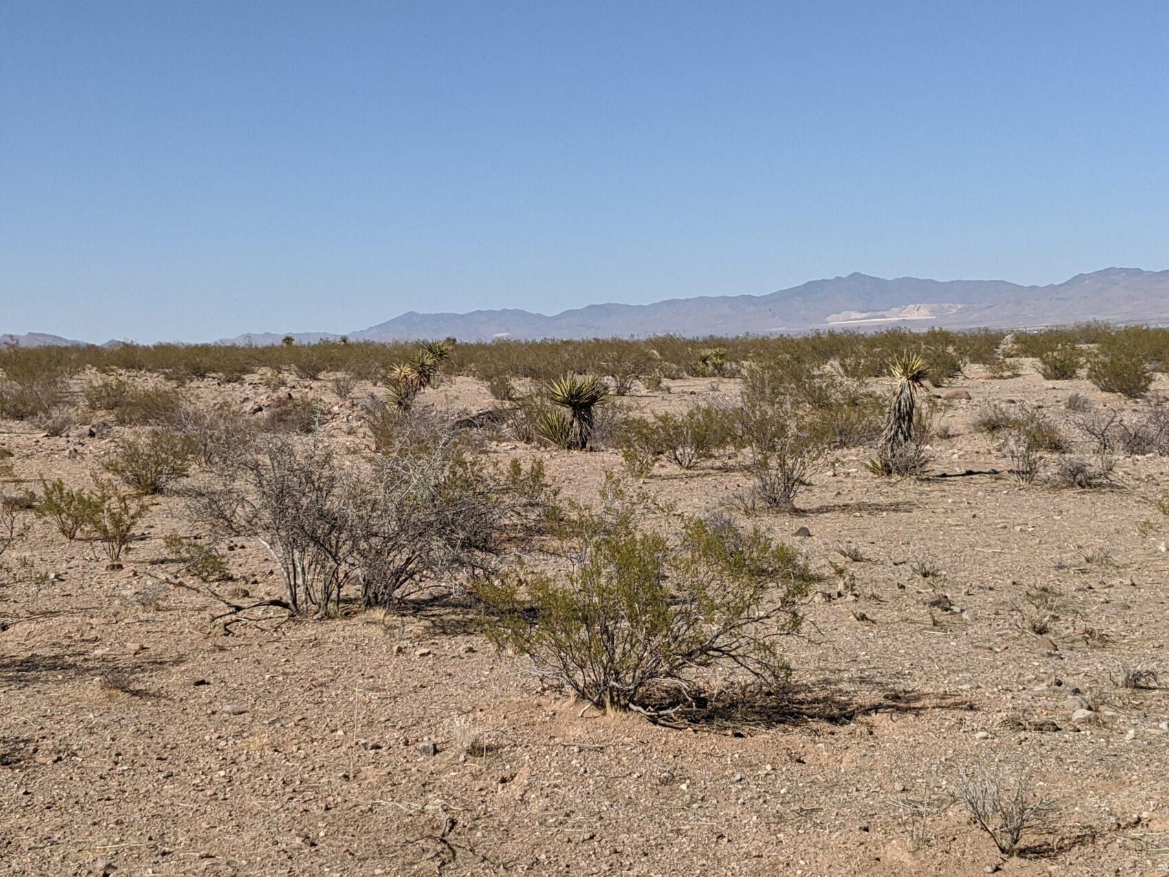 2.52 acres in Mohave County, Arizona