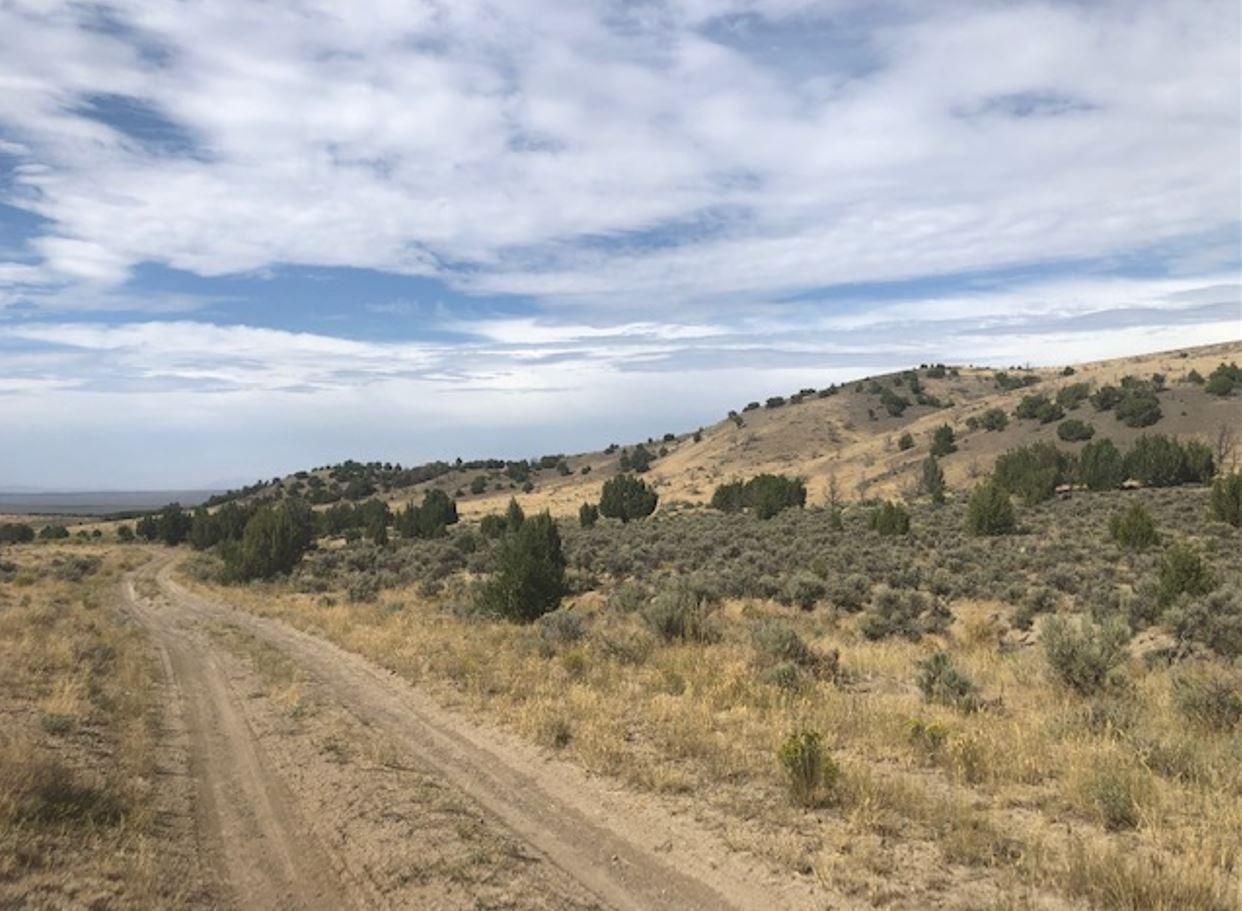 120 acres in Elko County, Nevada