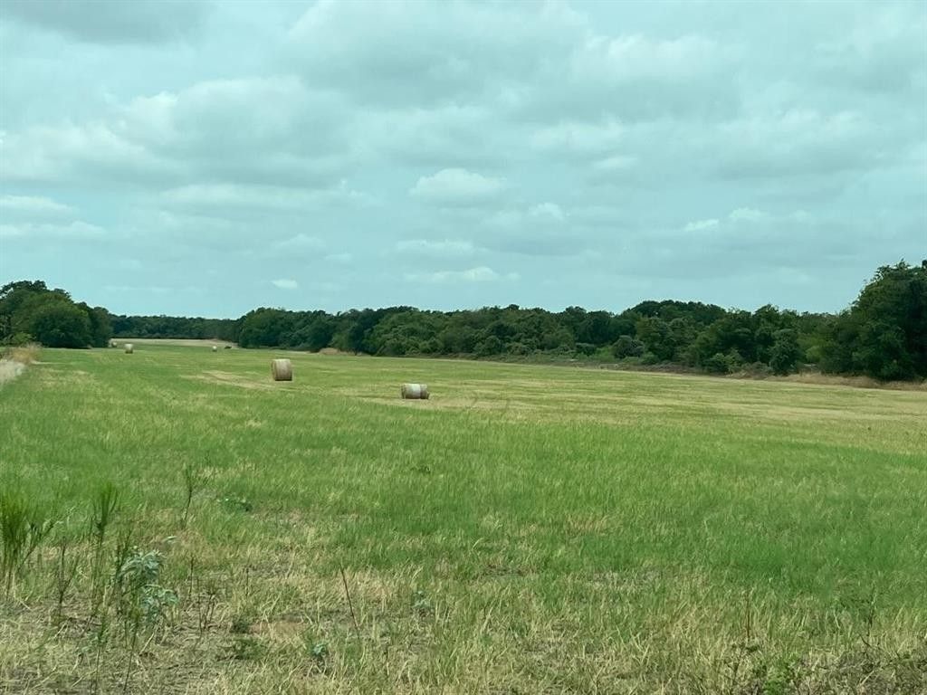 50 acres in Hill County, Texas