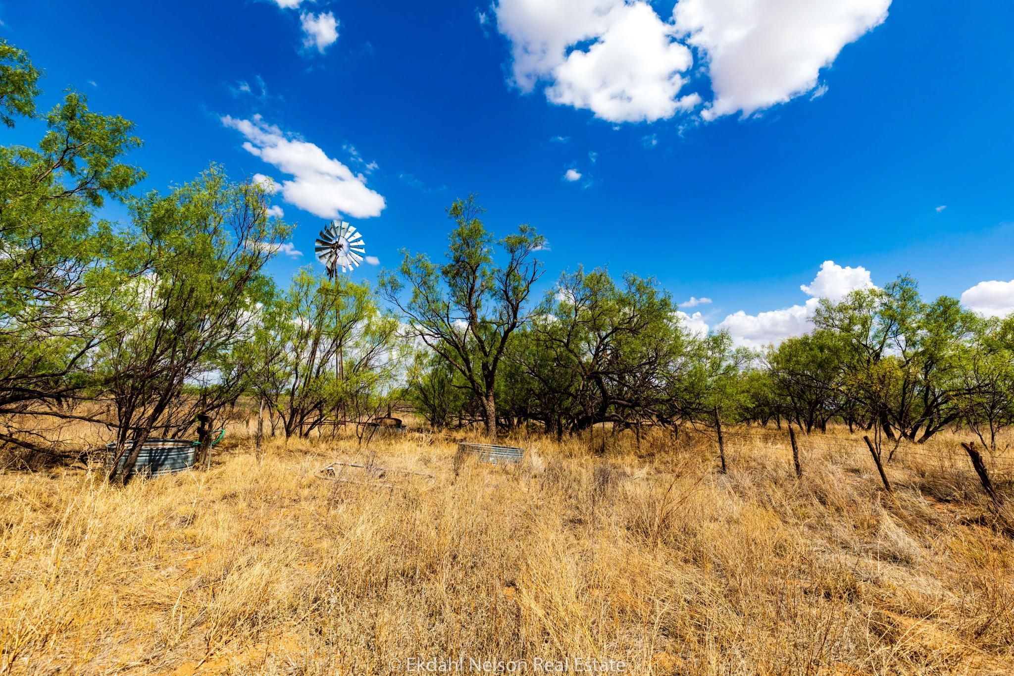 322.87 acres in Scurry County, Texas