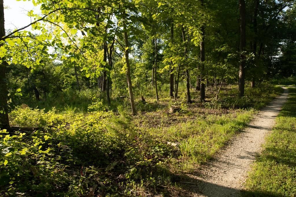 45 acres in Callaway County, Missouri