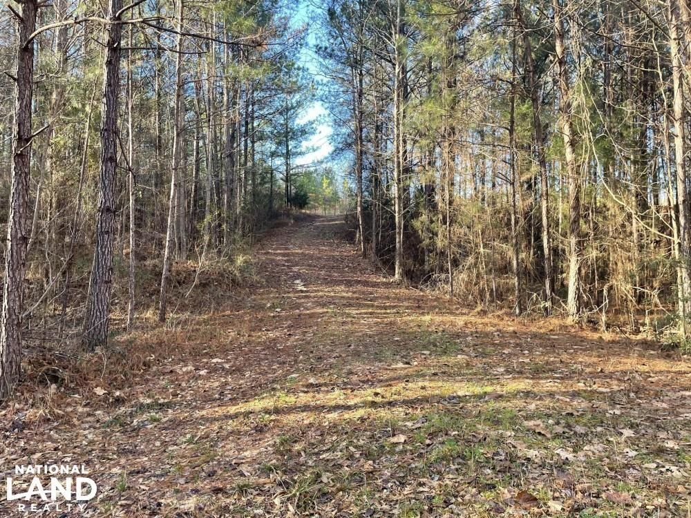 80 acres in Hale County, Alabama