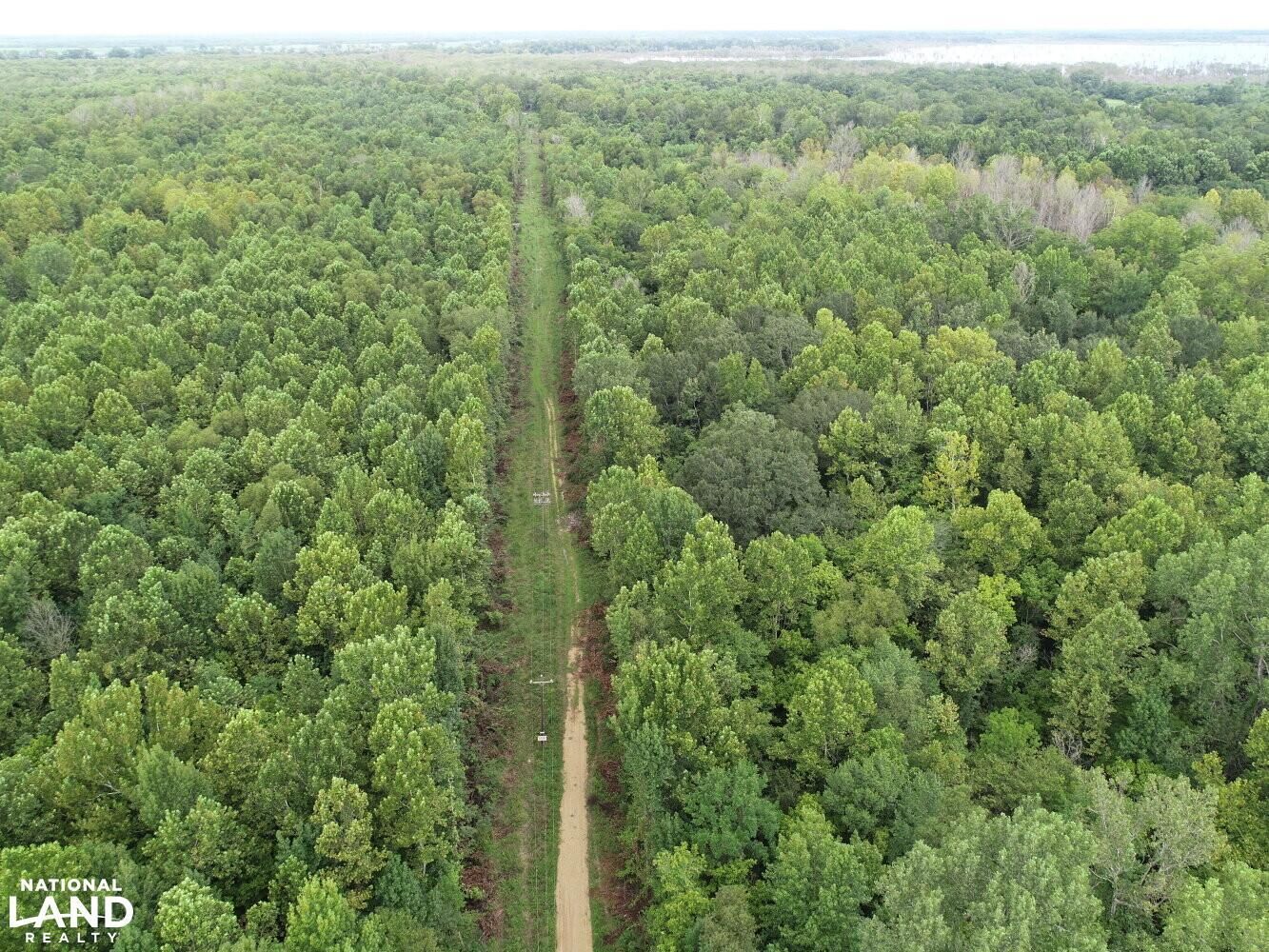 126 acres in Wilkinson County, Mississippi